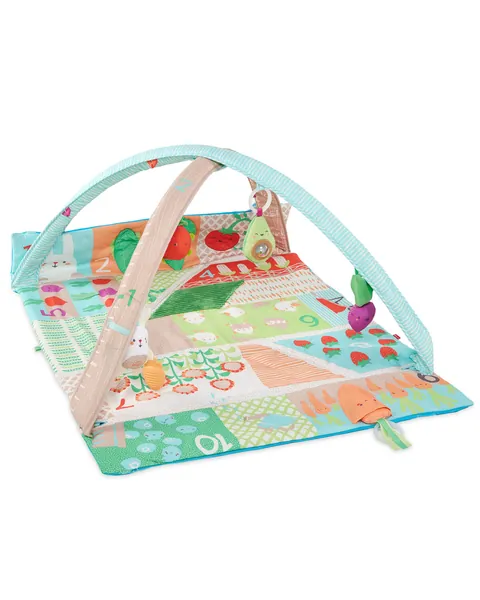Skip Hop Farmstand 3-in-1 Activity Gym